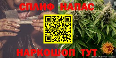 mdma Коммунар