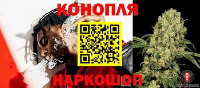 mdma Коммунар