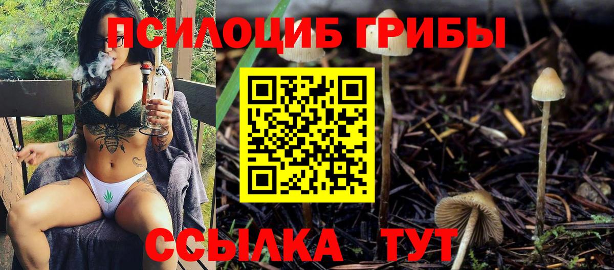 Кстово  Псилоцибиновые грибы мухоморы  Вход с VPN 